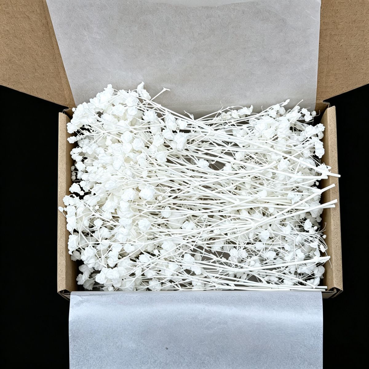 Candle Making Event - 50Pcs Mini White Dried Baby's Breath
