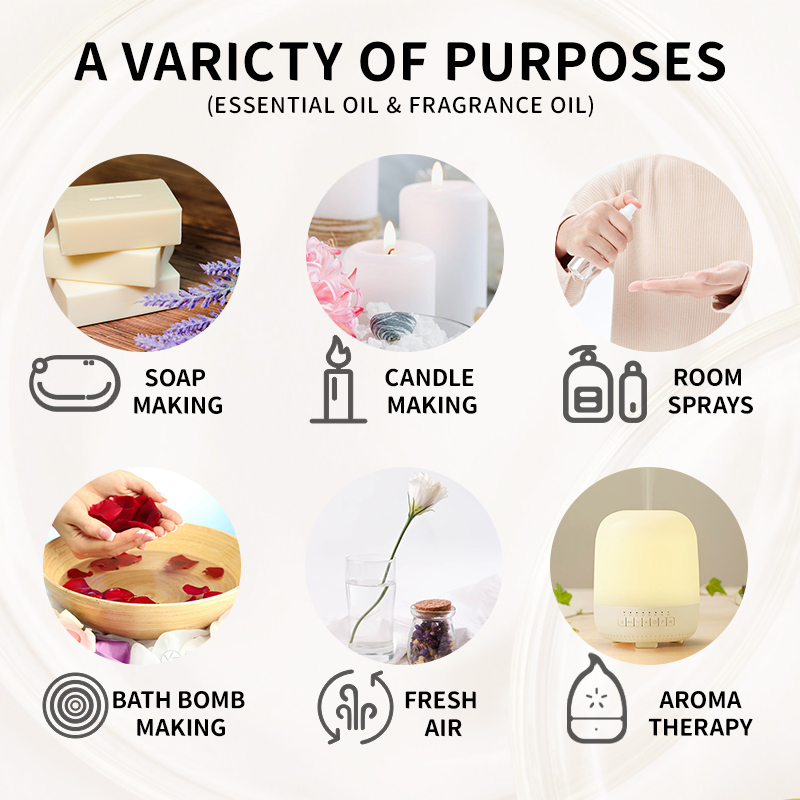 10ML Fragrance Oil Plant Makin - Candle Making And Perfume review and price